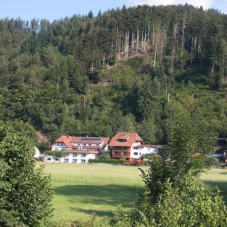 Ferienwohnung Am Rain Winden im Elztal Dış mekan fotoğraf